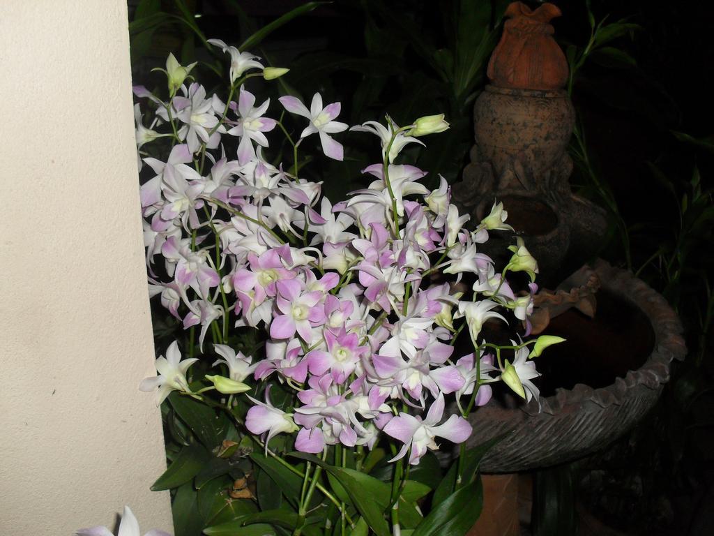 Your House 3 Guest House Chiang Mai Buitenkant foto